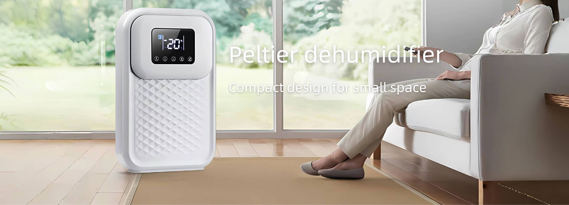 Bego Dehumidifier